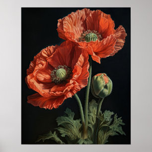Coral Poppy Blume Art Print Poster