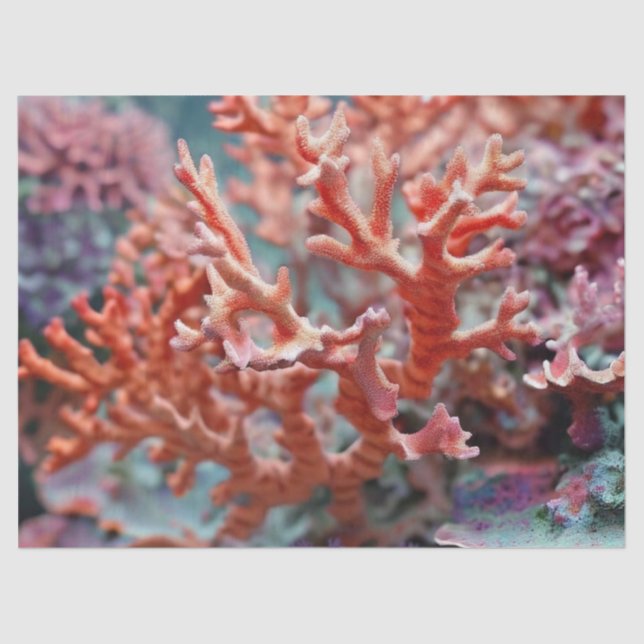 Coral Reef Decoupage Seidenpapier (Vorderseite)