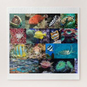 Coral Reef Marine Life Collage, Alter 10, 676 Stü Puzzle