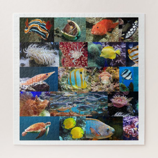 Coral Reef Marine Life Fotos, Alter 11, 676 Stk. Puzzle (Vertikal)