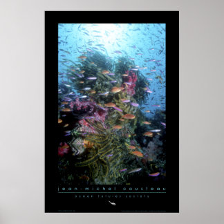 Coral Reef Poster