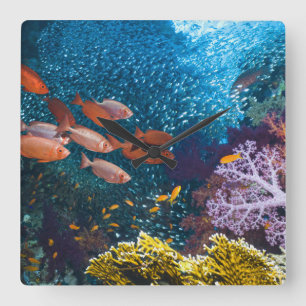 Coral Reef Scenery   Bigeye Or Goggle-Eye Quadratische Wanduhr