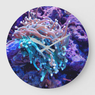 Coral reef sea anenome clock große wanduhr