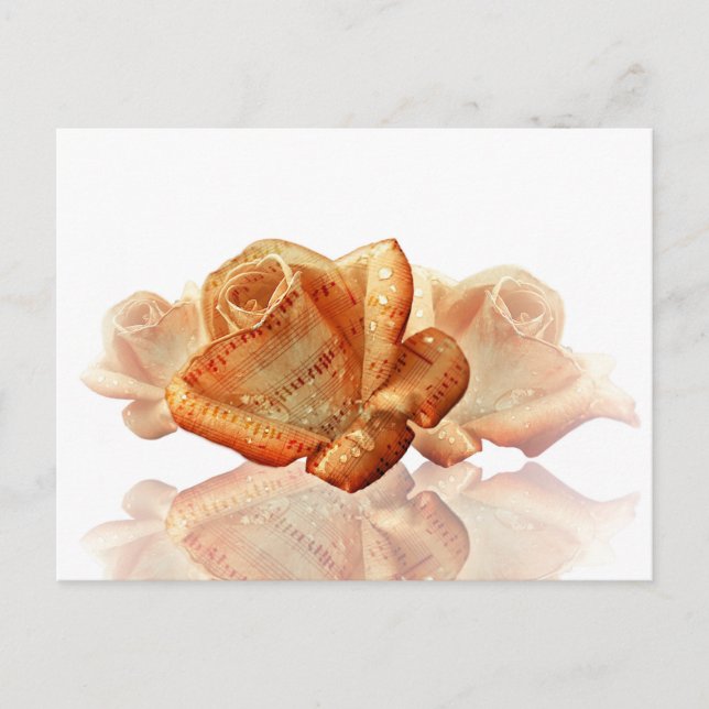 Coral Rose Blossom mit Notenmusik Postkarte (Vorderseite)
