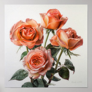 Coral Rose Blume Art Print Poster