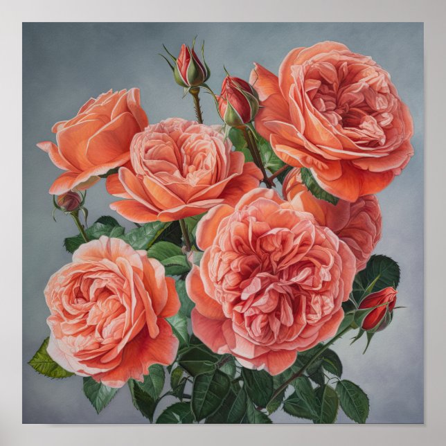 Coral Rose Blume Art Print Poster (Vorne)