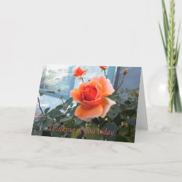 Coral Rose Card, Denken Sie an Sie heute. Karte