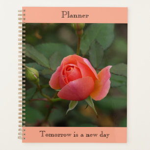 Coral Rose Planer