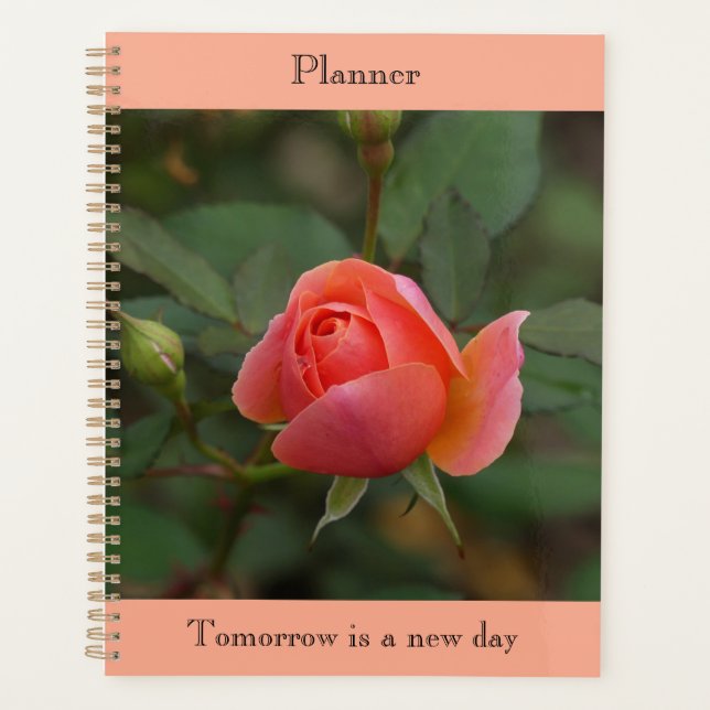 Coral Rose Planer (Vorderseite)