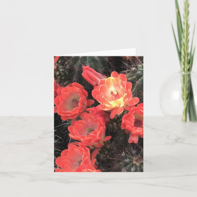 Coral Sunset Cactus bllossoms Note Card Dankeskarte (Vorderseite)