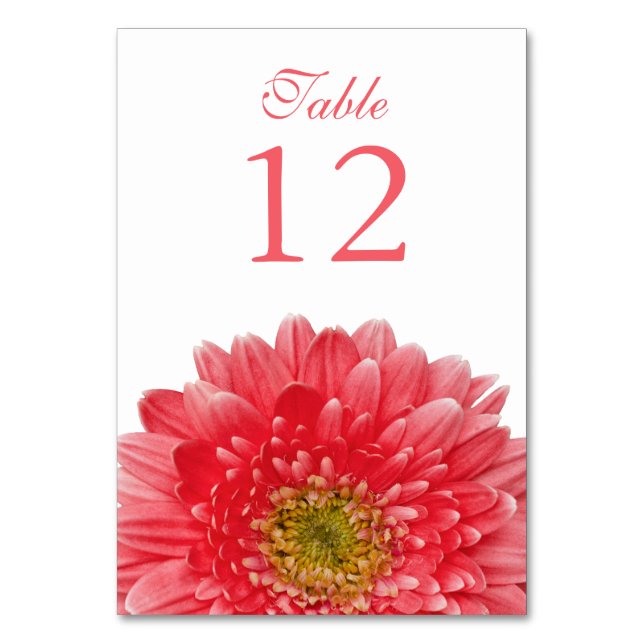 Coral White Gerbera Daisy Wedding Tischnummer (Vorderseite)