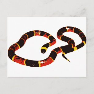 Coralillo Snake Postkarte