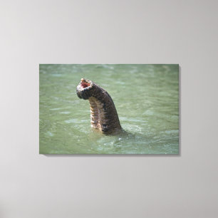 Corbett National Park, Uttaranchal, Indien Leinwanddruck