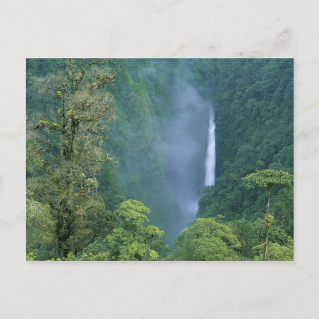 Cordillera Central, Angel Congo) Falls, viele Postkarte (Vorderseite)