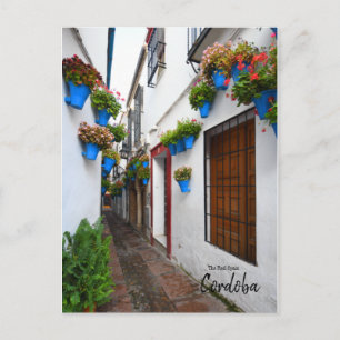 Cordoba Alleyway - Spanien Postkarte