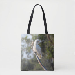 Corella Bird