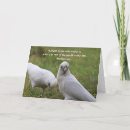 Corella Friendship Quote Grußkarte Dankeskarte