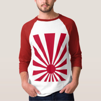Corey Tiger 80er Vintag Japan aufsteigt Sun T-Shirt