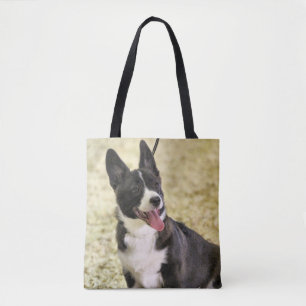 Corgi