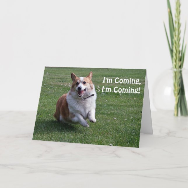 Corgi Birthday Card Karte (Vorderseite)