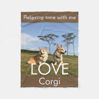 corgi blanket blue sky fleecedecke