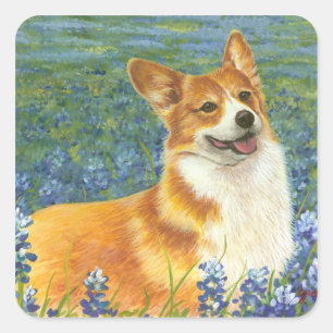 Corgi & Bluebonnets Portrait Quadratischer Aufkleber