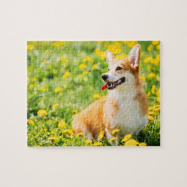 Corgi Blume Puzzle (Horizontal)