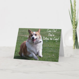 Corgi Card Karte