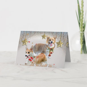 Corgi Christmas Joy Feiertagskarte