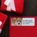 Corgi Christmas Snow Foto Rücksendeadresse<br><div class="desc">Dieses wunderschöne Corgi Weihnachtsadressen-Label zeichnet sich durch ein hübsches Foto eines Pembroke Welsh Corgi Hundes mit einem Schwanz aus,  stehend im Schnee neben eleganten grünen und roten Typografie für Ihre Familienferien-Briefe.</div>
