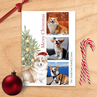 Corgi Christmas Tree Pet Dog Foto Feiertagskarte