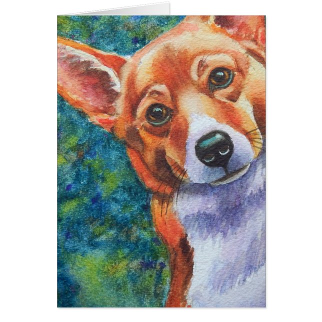 Corgi Curious Dog (Vorne)