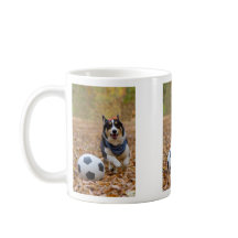 Corgi, der Fußball spielt