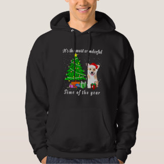 Corgi Dog ist die wunderbarste Zeit des Jahres Hoodie