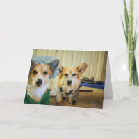 Corgi-Dr. und Krankenschwester-Erholung und Gefühl