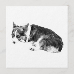 Corgi-Einladung, gemütliche Nacht Einladung