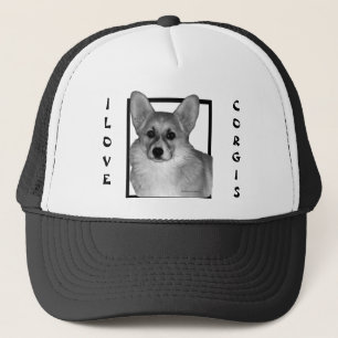 Corgi-Fernlastfahrer hatte Truckerkappe