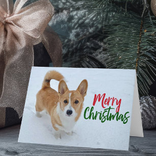 Corgi Frory Christmas Dog in Snow Foto Holiday Karte