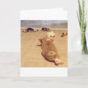 Corgi-Geburtstagskarte Karte