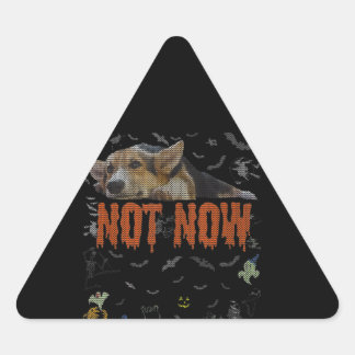 Corgi Gift | Nicht jetzt - Corgi Lover Ugly Hallow Dreieckiger Aufkleber