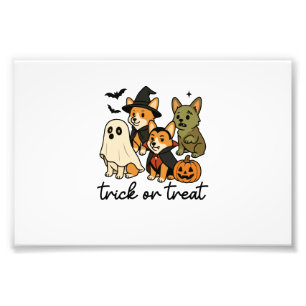 Corgi Halloween-Kostüm Fotodruck