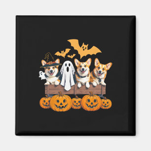 Corgi Halloween Trio Funny Spooky Dog Lover Outfit Magnet