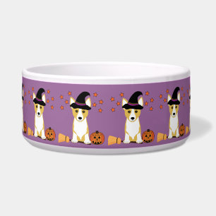 Corgi-Hexe-Halloween-Hundeschüssel Napf