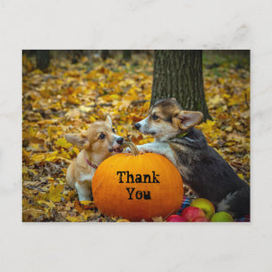 Corgi-Hund-Kürbis-Herbstfoto Danke Postkarte
