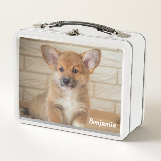 Corgi-Hund Metall Brotdose (Vorderseite)