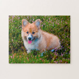 Corgi Hund. Puzzle