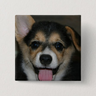 Corgi-Hundequadrat-Button Button