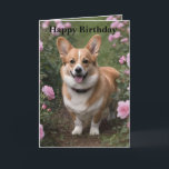 Corgi in den rosa Rosen, Geburtstagskarte Karte<br><div class="desc">Ein brauner und weißer Corgi im rosa Rosengartenbett.</div>