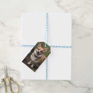 Corgi in den rosa Rosen, Geschenkanhänger