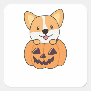 Corgi in Pumpkin Niedliche Hunde glücklich Hallowe Quadratischer Aufkleber